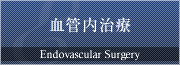 血管内治療